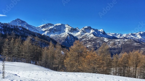 panorama alpino innevato