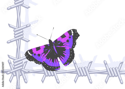 butterfly and wire