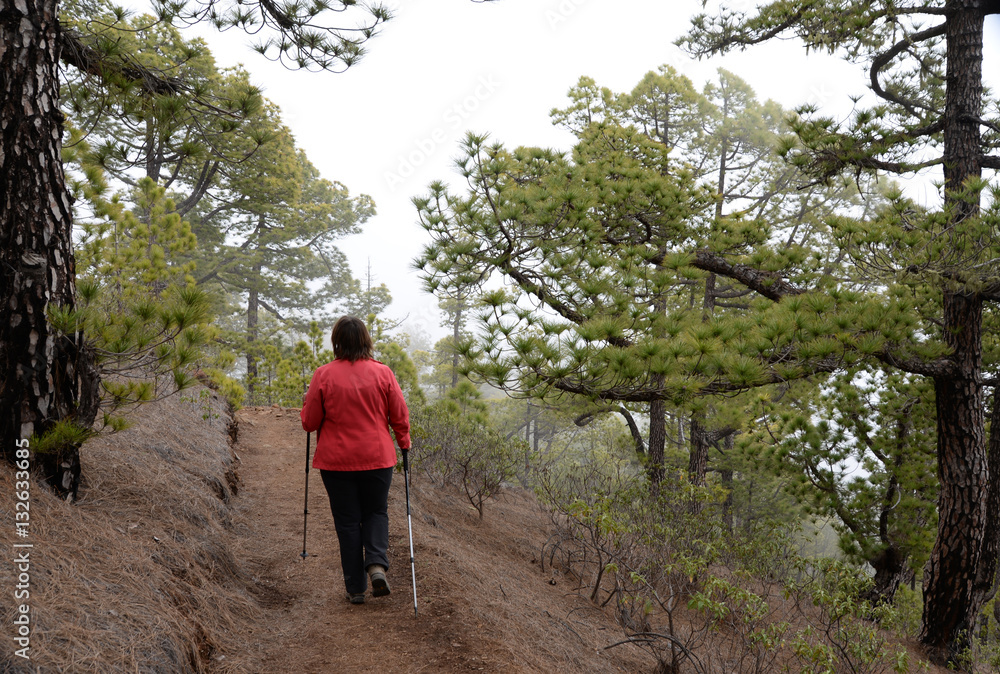 Wandern auf La Palma Wandern auf La Palma