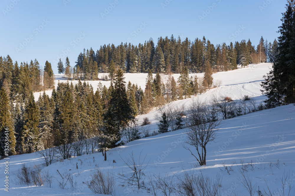 Winter landscape in polish mountains