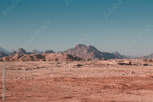 Desert on a background of mountains