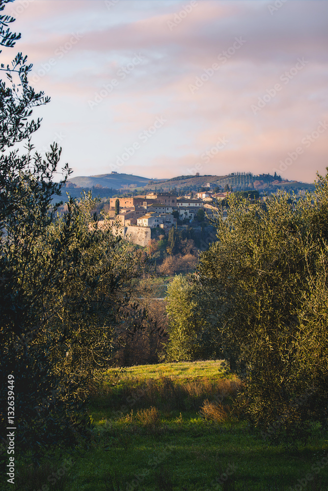 Panoramic view of the San Giovanni d'Asso in the Tuscan countrys