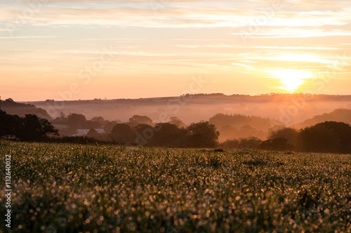 A frosty sunrise in field