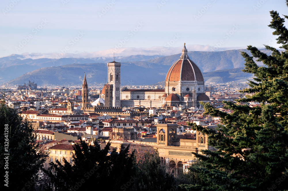 Obraz premium Aerial view at Florence Cathedral
