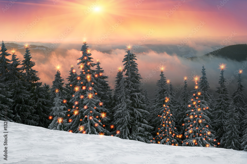 frosty sunrise in Carpathians