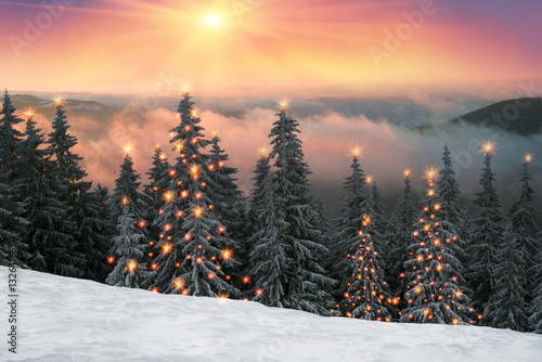 frosty sunrise in Carpathians © panaramka