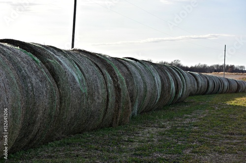 The Row of Round Hay Bales