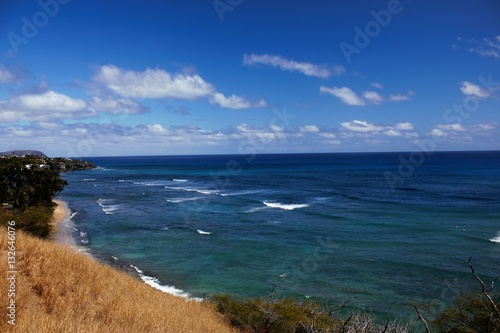 Fototapeta Naklejka Na Ścianę i Meble -  Hawaiian Dreams