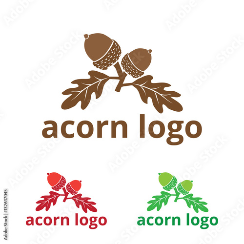 oak tree, oak tree logo, winter oak, fall oak, seasons, summer oak, business, acorn