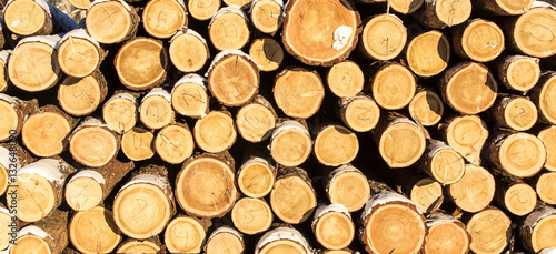 Sawn timber harvested in the woodpile