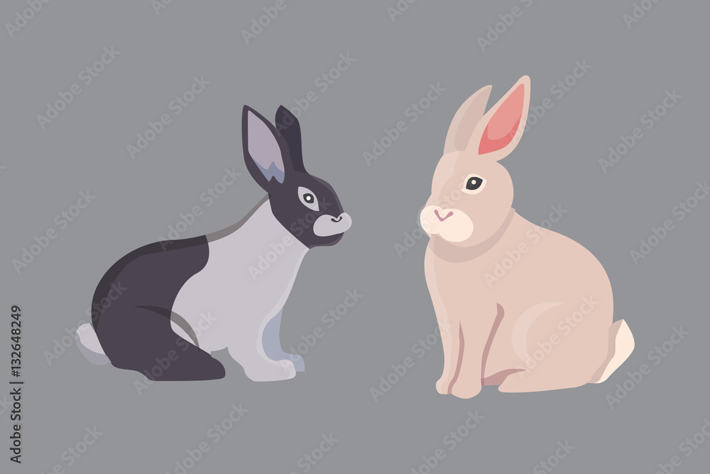 Obraz premium vector illustration of cartoon rabbits different breeds. Fine bunnys for veterinary design