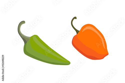 Vector Set of Colored Yellow Green Orange and Red Sweet Bulgarian Bell Peppers, Paprika Isolated
