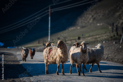 Ancient settlement in the mountains, Xinaliq, Khynalik photo