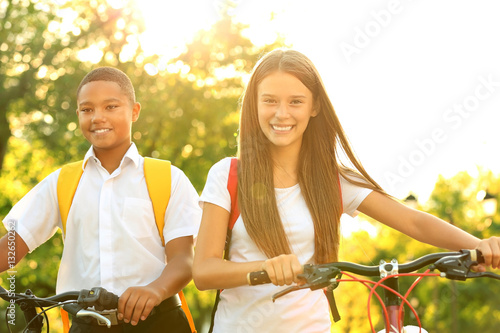 Teenagers with bicycles wal...