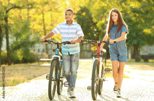 Friends with bicycles walki...