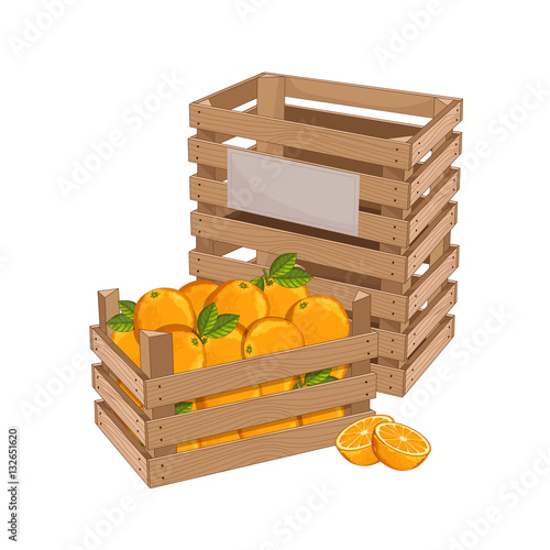 Wooden box full of orange isolated on white background vector illustration. Fresh fruit, organic farming, vegan food, delivery farm product, grocery store. Yellow ripe orange in wooden crate icon.