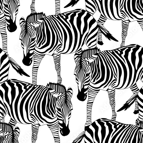 Zebra seamless pattern. Savannah Animal ornament. Wild animal texture  Striped black and white. design trendy fabric texture  vector illustration.