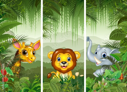 Set of three african animals with tropical forest background

