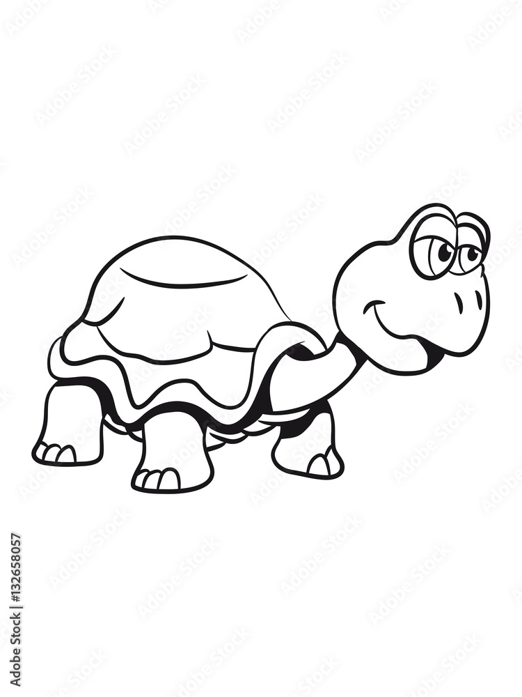 Fototapeta premium Turtle funny goofy kids