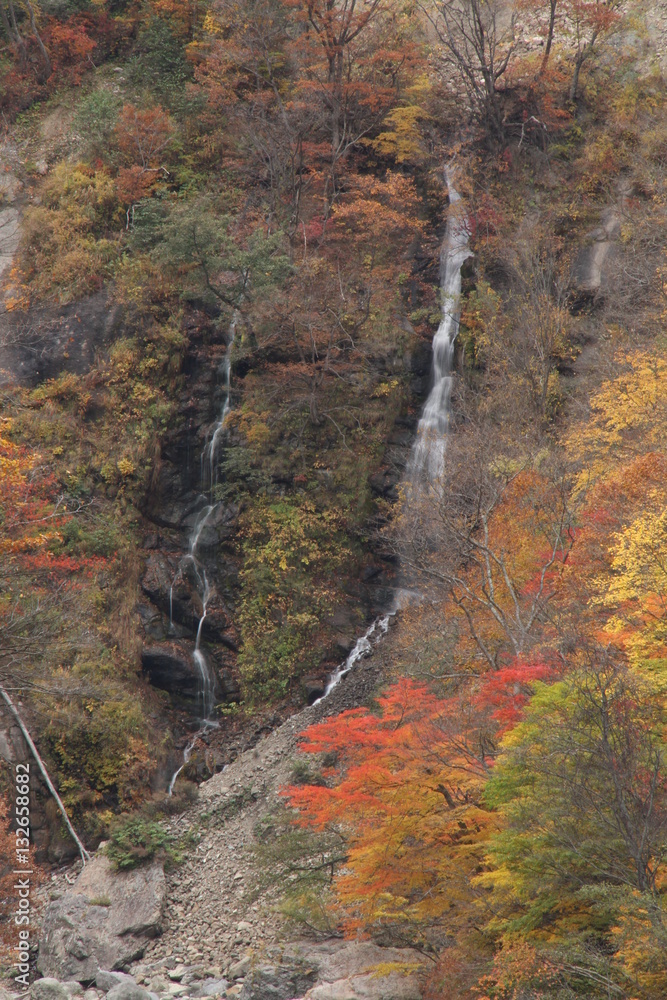 秋山郷周辺の滝