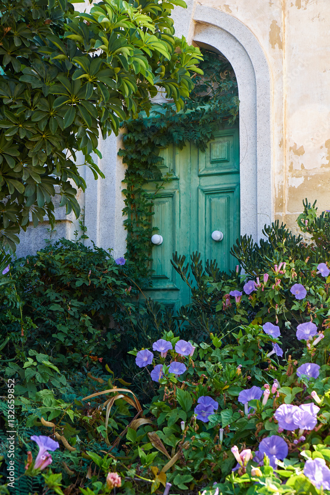 Ivy-covered green door in the wall of old house. Malta
