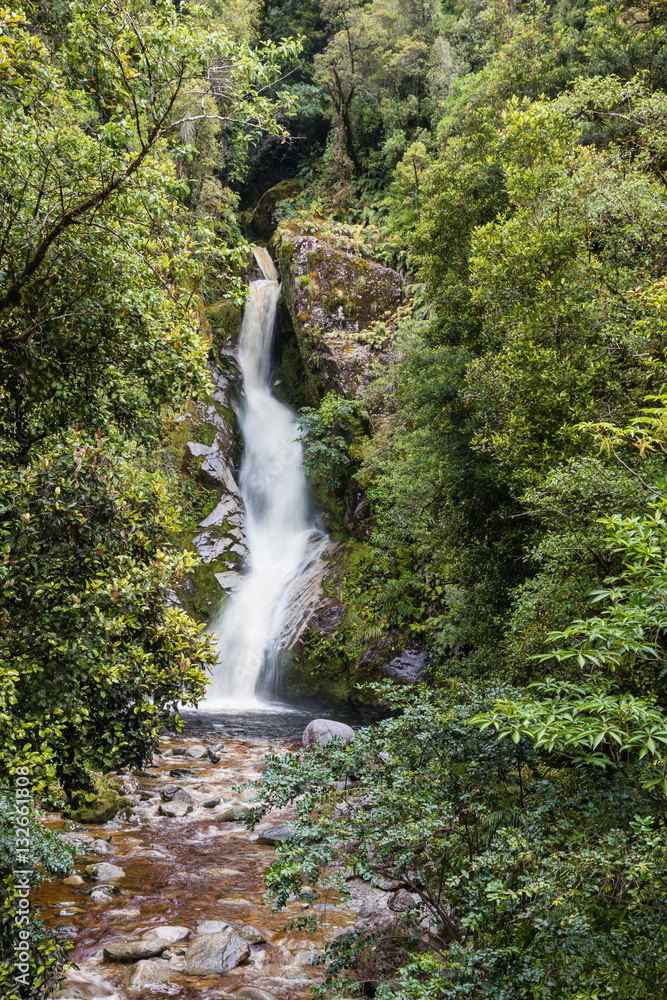 Obraz premium New Zealand waterfall in forest