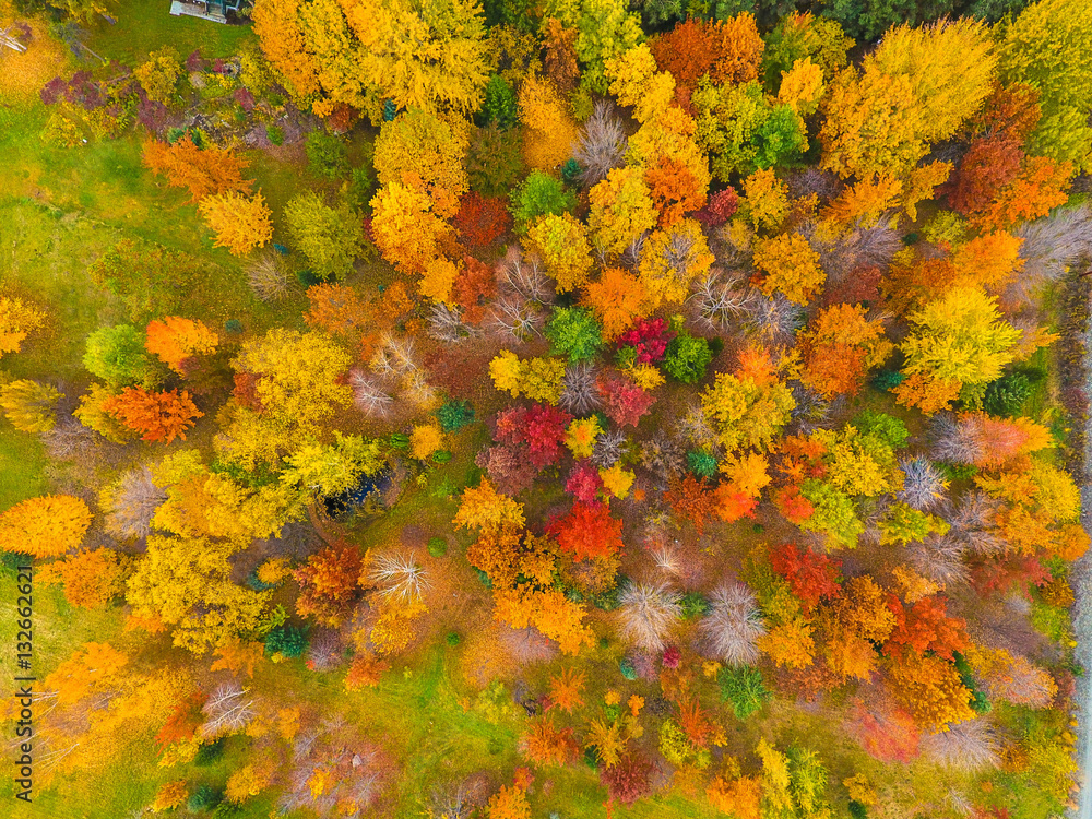 autumn from the air