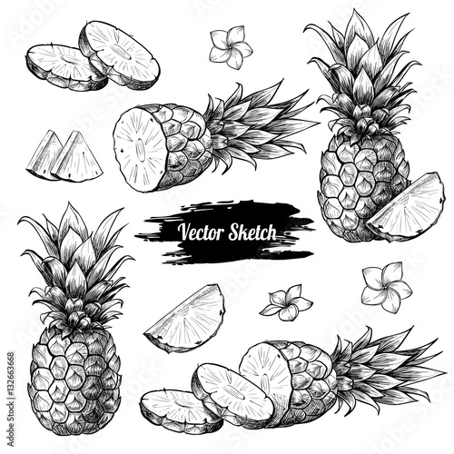 Vector pineapples hand drawn sketch with flowersf.  Sketch vector tropical food illustration. Vintage style