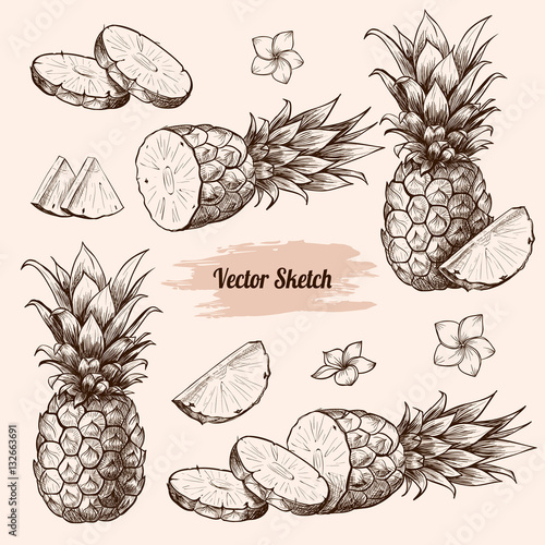 Vector pineapples hand drawn sketch with flowersf.  Sketch vector tropical food illustration. Vintage style