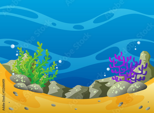 Ocean scene with coral reef and rocks