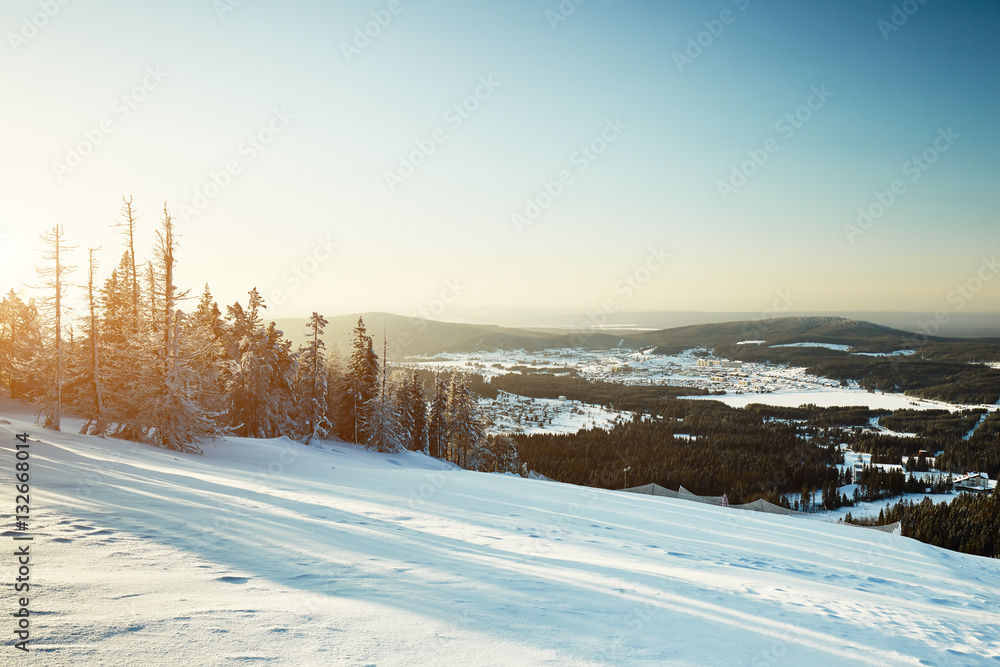 Fototapeta premium Fairy winter landscape with snow covered trees. Fantastic winter landscape. Dramatic overcast sky. Beauty world. Snowy forest
