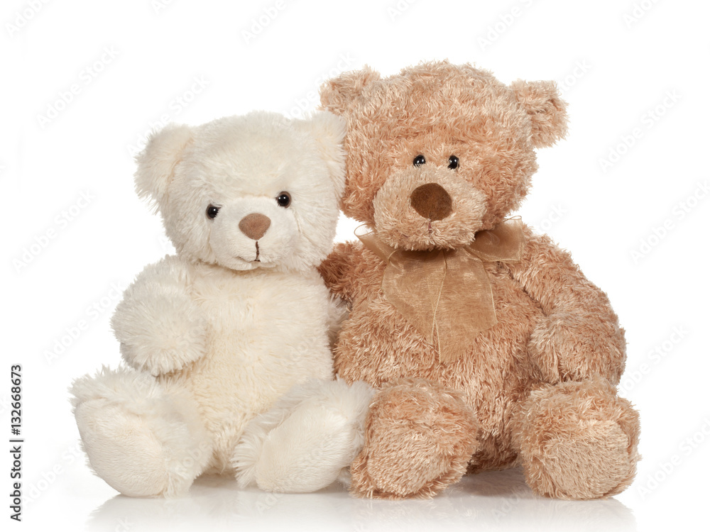 white and brown teddy bear that hugs