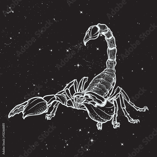 Detailed realistic scorpio drawing on nightsky background. Decorative ornament on the creature back. Tattoo design, zodiac sign concept art, horoscope article illustration. EPS10 vector illustration.