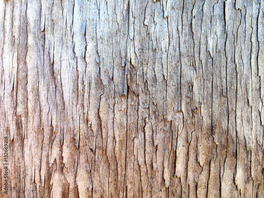 Natural texture of ancient wood Natural texture of ancient wood