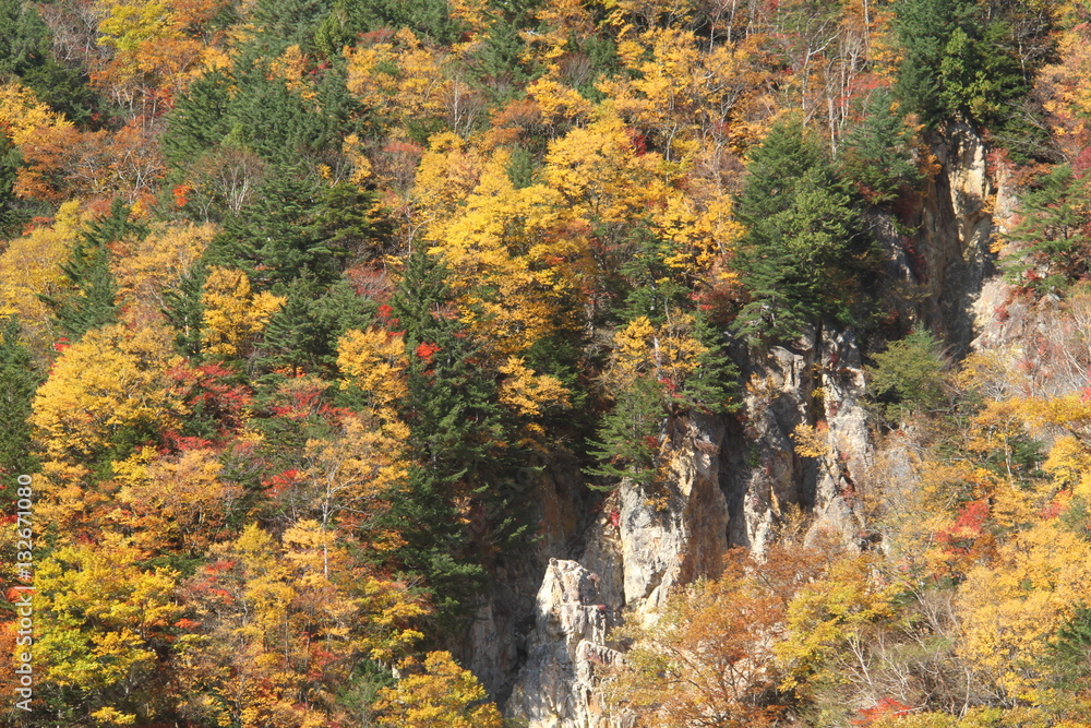 瀬戸合峡　日光