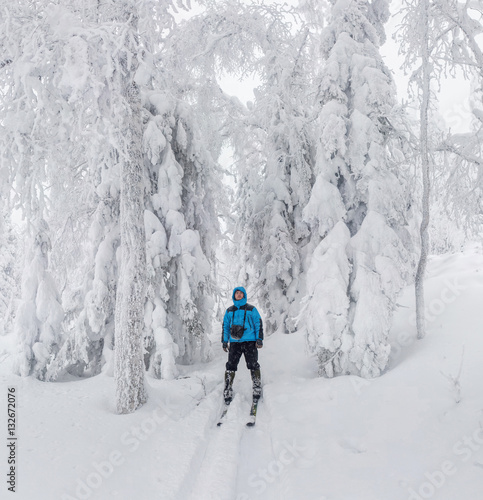young man cross country skiing on a winter day in snowy forest
