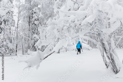 young man cross country skiing on a winter day in snowy forest