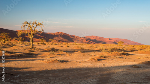 The scenic Sossusvlei and Deadvlei, clay and salt pan with braided Acacia trees surrounded by majestic sand dunes. Namib Naukluft National Park, main travel destination in Namibia.