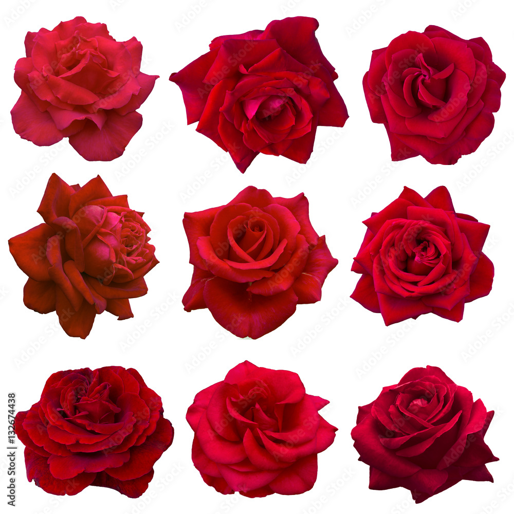 Fototapeta premium kolaż czerwonych róż