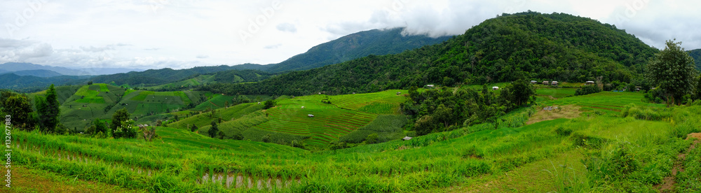 Obraz premium Beautiful rice terraces at Ban Pa Pong Pieng, Mae chaem, Chaing