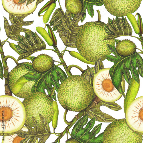 Seamless pattern of hand drawn breadfruit photo