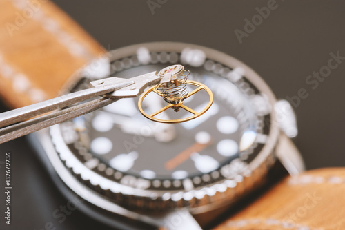 Tableau sur toile parts of automatic wristwatch