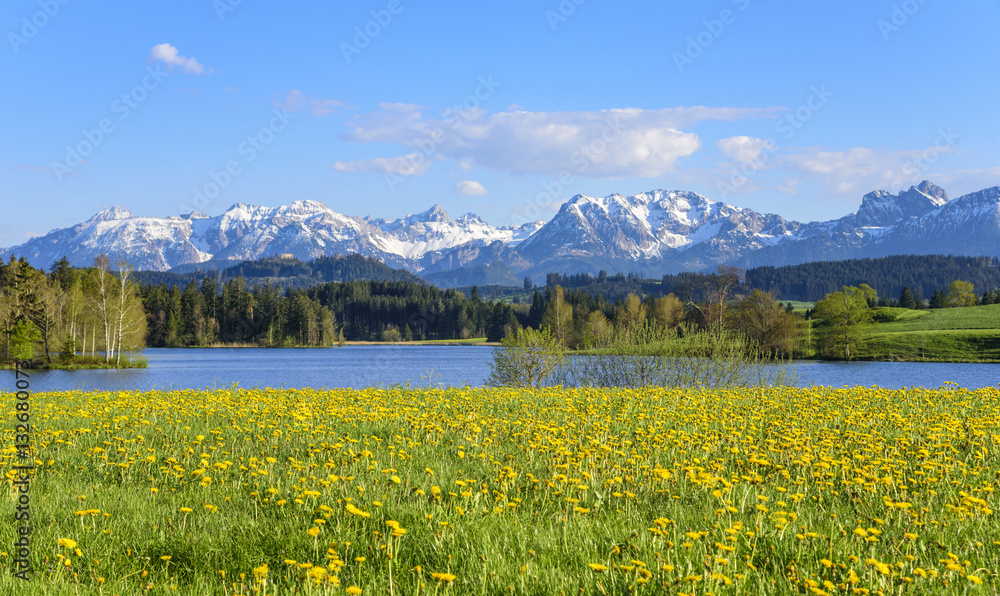 herrliche Frühlingslandschaft am bayrischen Alpenrand