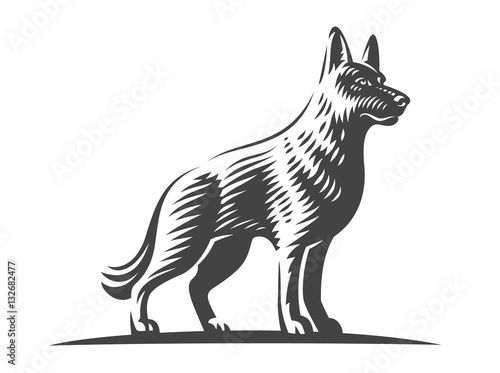 Shepherd dog, vector illustration