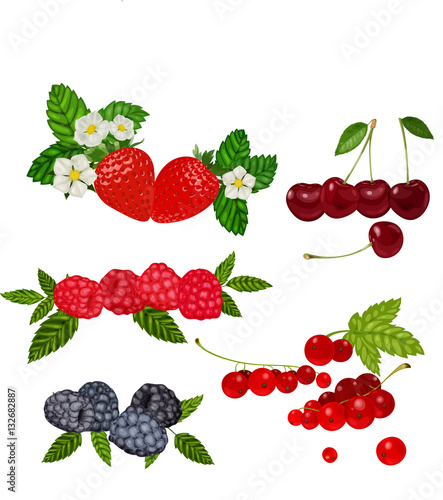 Berries Set Vector Illustration. Strawberry  Blueberry  Cherry  Raspberry  Red currant.