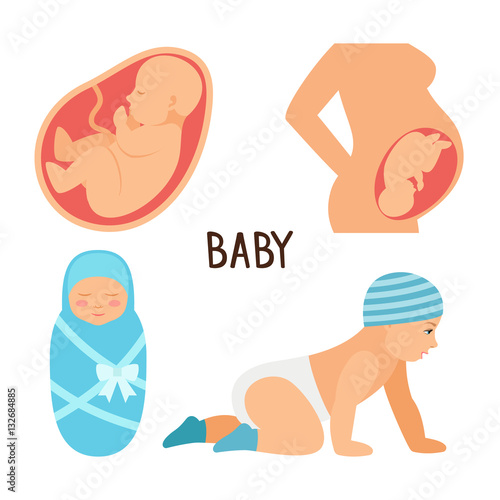 Pregnancy and baby vector illustration. Fetus  unborn, newborn  child