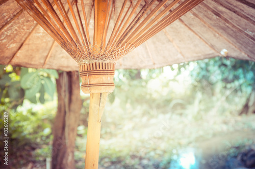 Bottom view of old umbrella and tree vintage fillter photo