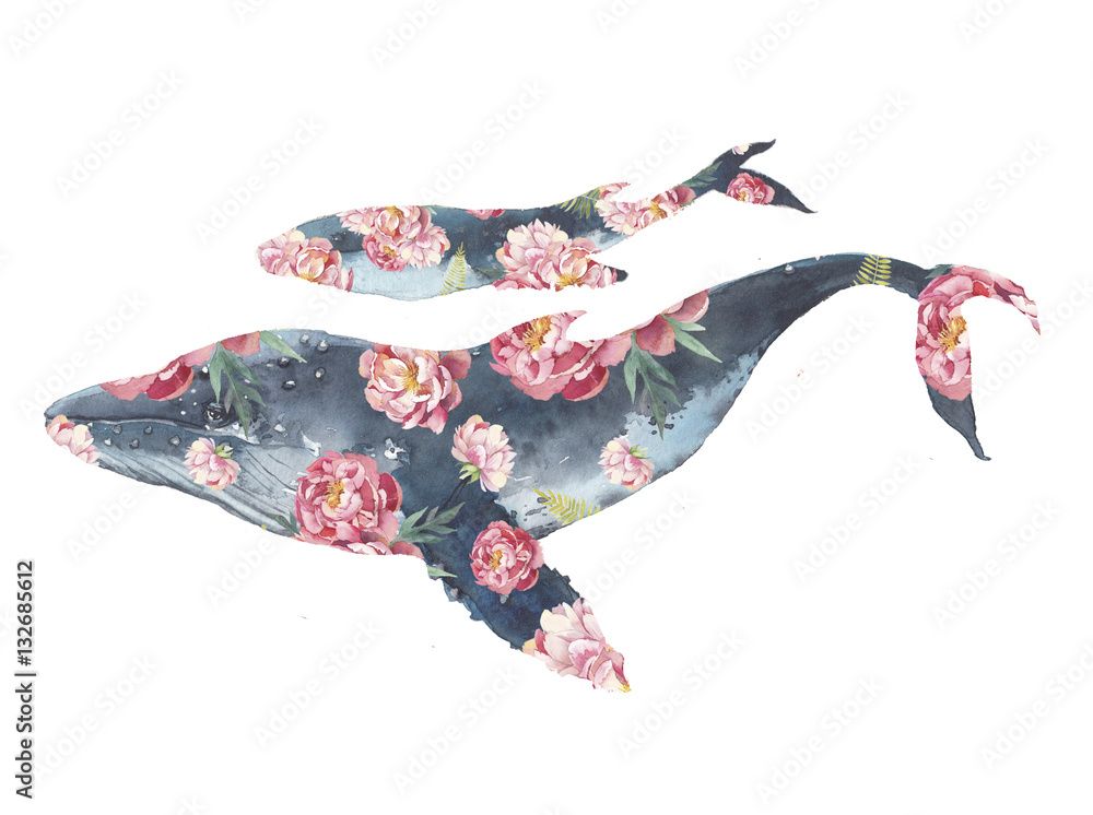 Fototapeta premium Rodzina wielorybów z grafiką kwiatów. Nadruk akwarelowy z wzorem bukietu wielkiego i małego wieloryba niebieskiego i piwonii. Ręcznie rysowane sylwetka zwierząt na białym tle. Kreatywna naturalna ilustracja