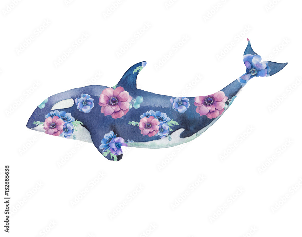 Naklejka premium Orca with flowers artwork. Watercolor print with killer whale and anemones bouquet pattern. Hand painted animal silhouette isolated on white background. Creative natural illustration