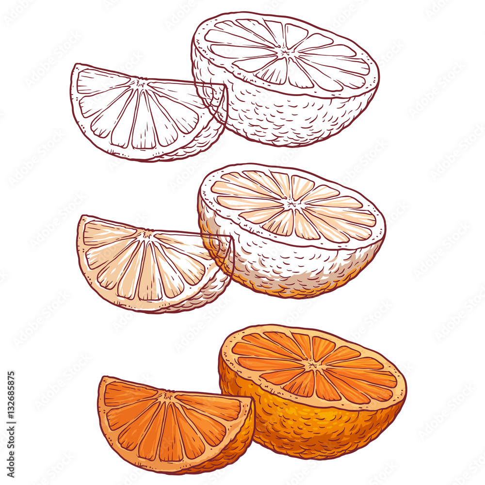 Set of juicy orange on a white background Set of juicy orange on a white background